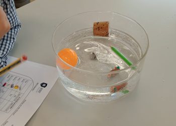 FOTO_3_FLUTUALIDADE