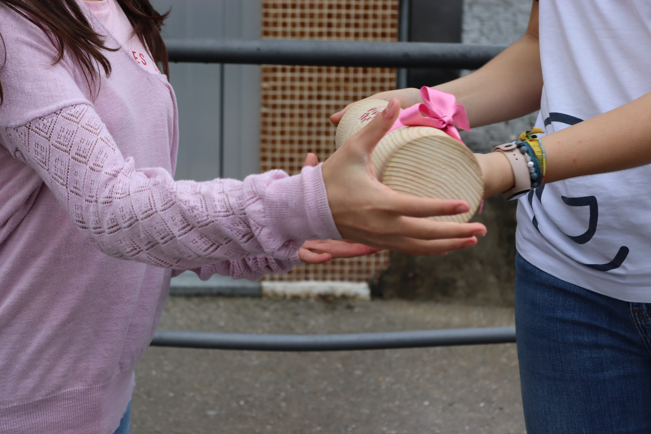 FOTO_12_OUTUBRO_ROSA