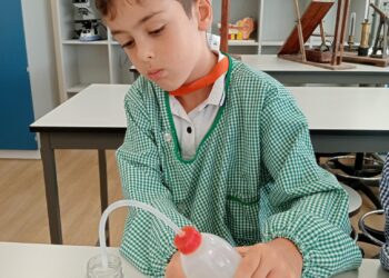 FOTO_1_GERMINAÇÃO