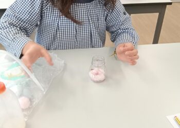 FOTO_2_GERMINAÇÃO