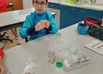 FOTO_3_GERMINAÇÃO