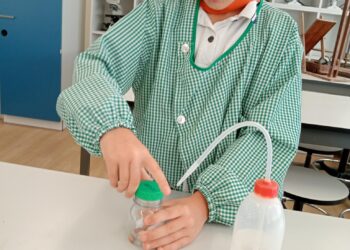 FOTO_4_GERMINAÇÃO