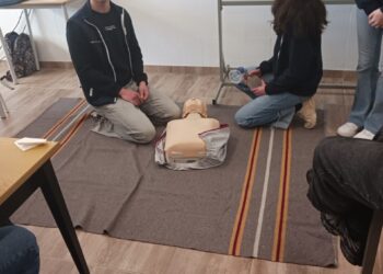 FOTO_4_SUPORTE_BaSICO Large