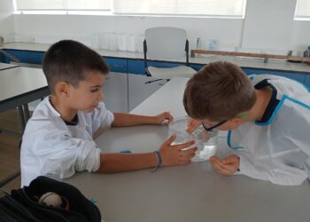 FOTO_2_PAPEL