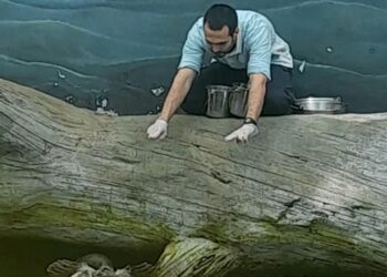 FOTO_4_OCEANÁRIO